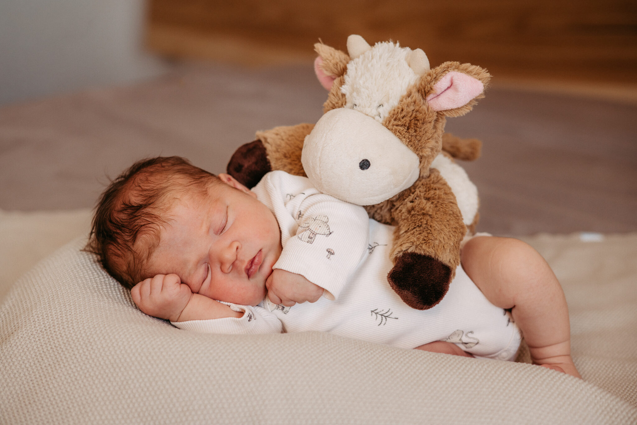 Babyfotografie, Baby mit Kuscheltier, Newborn, Newbornfotos